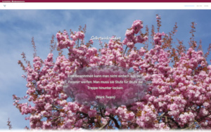 Weg des Phönix - Janice Gebauer